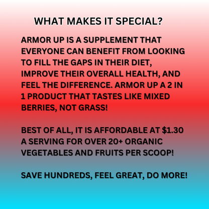Armor Up