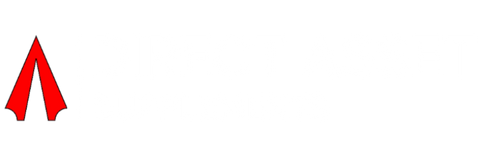 directasset.net logo
